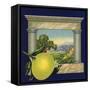 Grapefruit and Orchard - Citrus Crate Label-Lantern Press-Framed Stretched Canvas