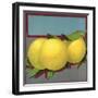 Grapefruit Branch - Citrus Crate Label-Lantern Press-Framed Art Print