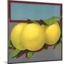 Grapefruit Branch - Citrus Crate Label-Lantern Press-Mounted Art Print