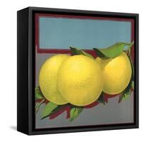 Grapefruit Branch - Citrus Crate Label-Lantern Press-Framed Stretched Canvas