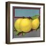 Grapefruit Branch - Citrus Crate Label-Lantern Press-Framed Art Print