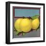 Grapefruit Branch - Citrus Crate Label-Lantern Press-Framed Art Print