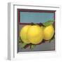 Grapefruit Branch - Citrus Crate Label-Lantern Press-Framed Art Print