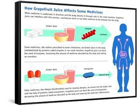 Grapefruit Juice and Medicine Warning-Science Source-Framed Stretched Canvas