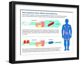 Grapefruit Juice and Medicine Warning-Science Source-Framed Giclee Print