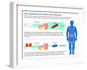 Grapefruit Juice and Medicine Warning-Science Source-Framed Giclee Print