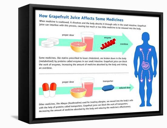 Grapefruit Juice and Medicine Warning-Science Source-Framed Stretched Canvas