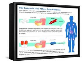 Grapefruit Juice and Medicine Warning-Science Source-Framed Stretched Canvas