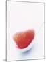 Grapefruit Segment on White Spoon-Peter Medilek-Mounted Photographic Print