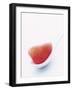 Grapefruit Segment on White Spoon-Peter Medilek-Framed Photographic Print