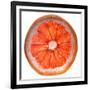 Grapefruit Slice-Steve Gadomski-Framed Photographic Print