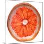 Grapefruit Slice-Steve Gadomski-Mounted Photographic Print