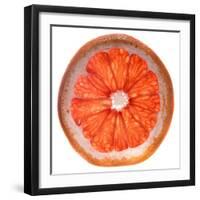 Grapefruit Slice-Steve Gadomski-Framed Photographic Print