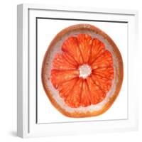 Grapefruit Slice-Steve Gadomski-Framed Photographic Print