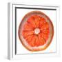 Grapefruit Slice-Steve Gadomski-Framed Photographic Print