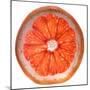 Grapefruit Slice-Steve Gadomski-Mounted Photographic Print