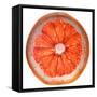 Grapefruit Slice-Steve Gadomski-Framed Stretched Canvas