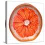 Grapefruit Slice-Steve Gadomski-Stretched Canvas