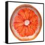Grapefruit Slice-Steve Gadomski-Framed Stretched Canvas