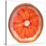 Grapefruit Slice-Steve Gadomski-Stretched Canvas