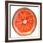 Grapefruit Slice-Steve Gadomski-Framed Photographic Print