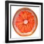 Grapefruit Slice-Steve Gadomski-Framed Photographic Print