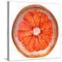 Grapefruit Slice-Steve Gadomski-Stretched Canvas