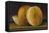 Grapefruit-null-Framed Stretched Canvas