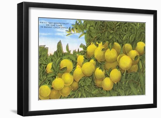 Grapefruit-null-Framed Art Print