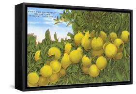 Grapefruit-null-Framed Stretched Canvas