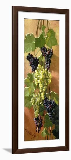 Grapes, 1897-Edward Chalmers Leavitt-Framed Giclee Print