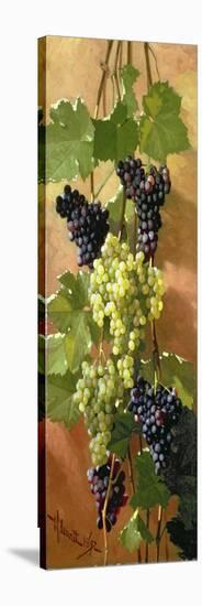 Grapes, 1897-Edward Chalmers Leavitt-Stretched Canvas