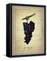 Grapes 1-Natasha Wescoat-Framed Stretched Canvas
