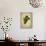 Grapes 2-Natasha Wescoat-Giclee Print displayed on a wall