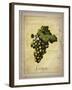 Grapes 2-Natasha Wescoat-Framed Giclee Print