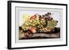 Grapes and Pears with a Snail-Giovanna Garzoni-Framed Art Print