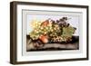 Grapes and Pears with a Snail-Giovanna Garzoni-Framed Art Print