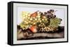 Grapes and Pears with a Snail-Giovanna Garzoni-Framed Stretched Canvas