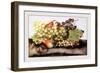 Grapes and Pears with a Snail-Giovanna Garzoni-Framed Premium Giclee Print