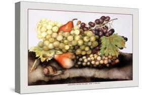 Grapes and Pears with a Snail-Giovanna Garzoni-Stretched Canvas