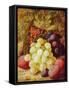 Grapes and Plums-Vincent Clare-Framed Stretched Canvas