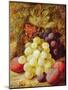 Grapes and Plums-Vincent Clare-Mounted Giclee Print