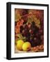 Grapes, Apples and Gooseberries-Vincent Clare-Framed Giclee Print