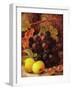 Grapes, Apples and Gooseberries-Vincent Clare-Framed Giclee Print