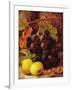 Grapes, Apples and Gooseberries-Vincent Clare-Framed Giclee Print