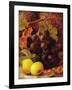 Grapes, Apples and Gooseberries-Vincent Clare-Framed Giclee Print