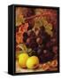 Grapes, Apples and Gooseberries-Vincent Clare-Framed Stretched Canvas