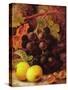 Grapes, Apples and Gooseberries-Vincent Clare-Stretched Canvas