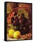 Grapes, Apples and Gooseberries-Vincent Clare-Framed Stretched Canvas