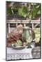 Grapes, Bread, Sausages and Wine on Wooden Bench in Front of Farmhouse-Eising Studio - Food Photo and Video-Mounted Photographic Print